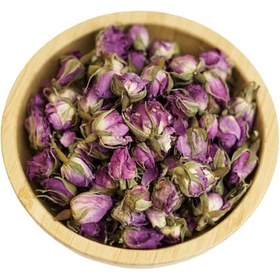 تصویر غنچه گل محمدی 