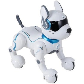 تصویر سگ ربات هوشمند کنترلی کد: A001 