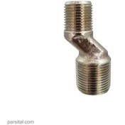 تصویر لنگی بلند شیر دیواری قهرمان 