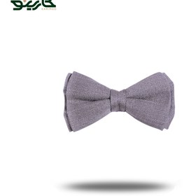 تصویر پاپیون طوسی ساده 