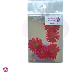 تصویر گل خشک بابونه درجه 2 
