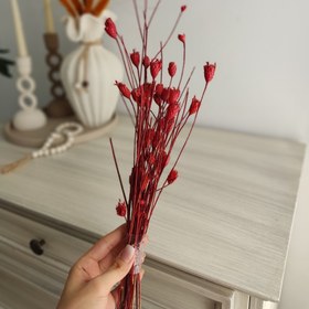 تصویر گل خشک 