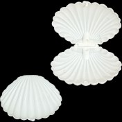 تصویر گیفت صدف سایز ۸ در ۶ سانت 