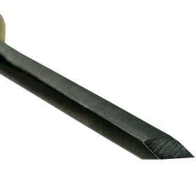 تصویر مغار قلمی کوچک سر کج دارکوب 