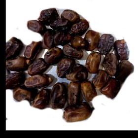 تصویر خرمای دگل ادامسی 