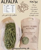 تصویر ساقه یونجه 