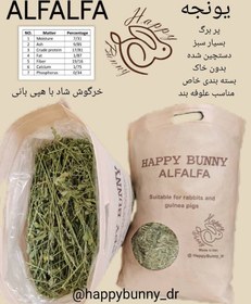 تصویر ساقه یونجه 