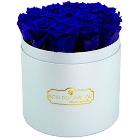 تصویر Blue Eternal Roses in Sky-Blue Box | کد: ZNB-1JB7 