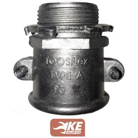 تصویر گلند دوپیچ 29 توس فلکس 