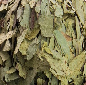 تصویر برگ سنا ملین