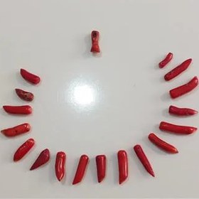 تصویر 110 گرم مرجان سرخ 