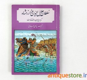 تصویر کتاب سلطان جلال الدین خوارزمشاه ، تندیس دلیری و استقامت 