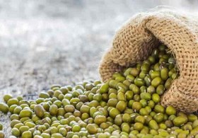 تصویر ماش محلی درجه یک 