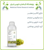 تصویر طعم دهنده آنغوزه خوراکی 