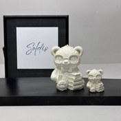 تصویر قالب تدی کتاب خوان 