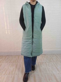 تصویر پافر با قد بلند 