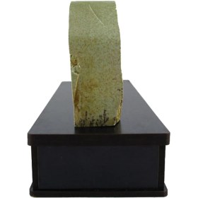 تصویر سنگ شجر فسیلی (دندریتی ) کد 2597 