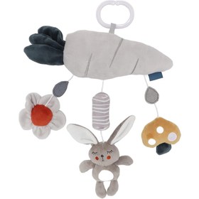 تصویر اویز کریر هویج و خرگوش 