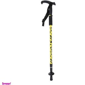 تصویر عصای کوهنوردی مدل poles 