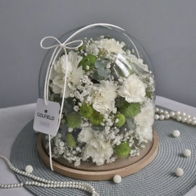 تصویر جام گل دلبر 