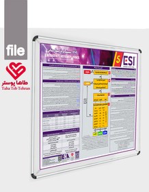 تصویر پوستر تریاژ ESI ویرایش پنجم -EMERGENCY SEVERITY INDEX 