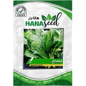 تصویر بذر اسفناج 10، 100 و 500 گرمی