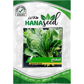 تصویر بذر اسفناج 10، 100 و 500 گرمی