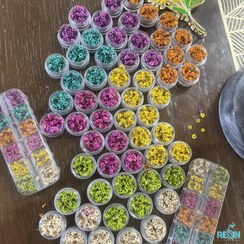 تصویر گل خشک شکوفه مینیاتوری 