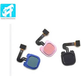 تصویر سنسور اثرانگشت سامسونگ Samsung 