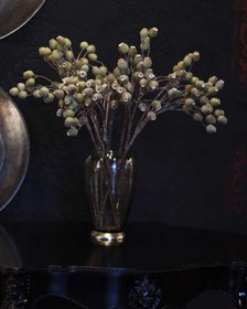 تصویر میوه ازگیل وحشی 