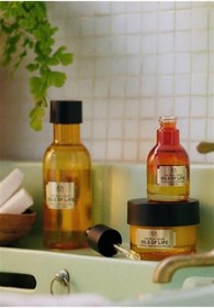 تصویر کرم بدن اورجینال برند The body shop کد 45534911 