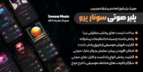 تصویر افزونه MP3 Music Player Pro | موزیک پلیر فوق پیشرفته و قدرتمند وردپرس 