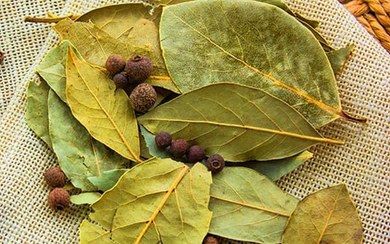 تصویر برگ بو (50 گرمی) 