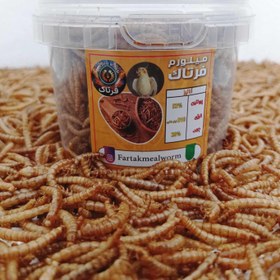 تصویر میلورم خشک ۵۰ گرمی mealworm 50g