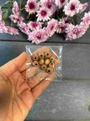 تصویر مهره های تزیینی چوبی کد 243 