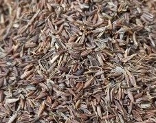 تصویر زیره سیاه نکوبیده 