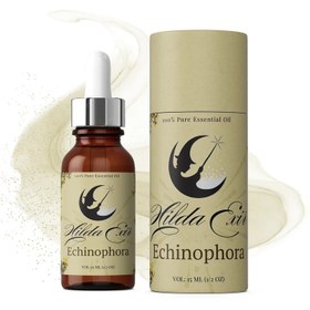 تصویر اسانس طبیعی خوشاریزه (Echinophora Essential Oil) 