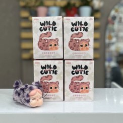 تصویر بلایند باکس کرای بیبی کیتی 