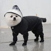 تصویر سرهمی بارانی سگ و گربه سایز M رنگ مشکی 