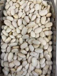 تصویر لوبیا سفید خمین 