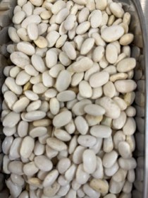 تصویر لوبیا سفید خمین 