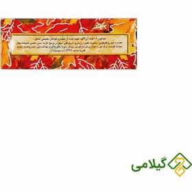 تصویر صابون ۱۲ گیاه ان جی | 100 گرمی NG Soap