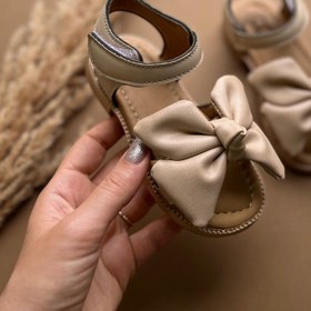 تصویر صندل پاپیونی 