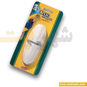 تصویر کف دریا پرندگان پادوان Padovan Osso Diseppia