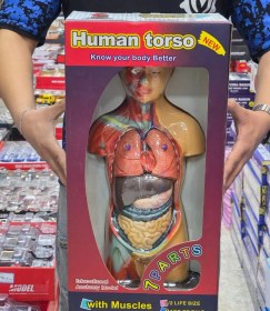 تصویر مولاژ نیم تنه ماهیچه 