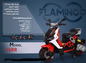 تصویر موتور شارژی فلامینگو flamingo مدل V-6RR PANT 