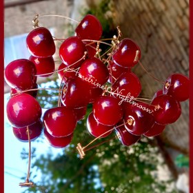تصویر گوشواره زنانه برند فشن مدل گیلاس استیل رنگ ثابت وضد حساسیت Women's earrings, fashion brand, cherry model, steel, fixed color and free shipping