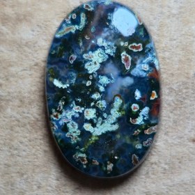 تصویر شجر چند رنگ زیبا خاص 