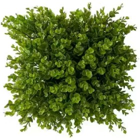 تصویر دیوار سبز شمشاد 