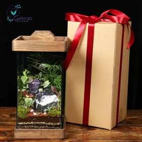 تصویر تراریوم اسکوئر بزرگ 